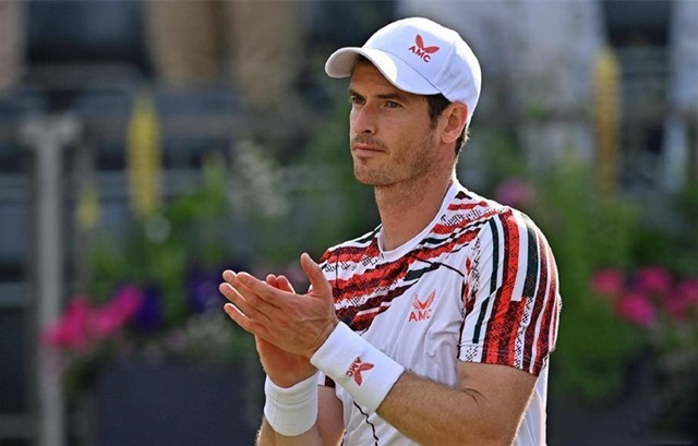 巴西元素 巴西元素