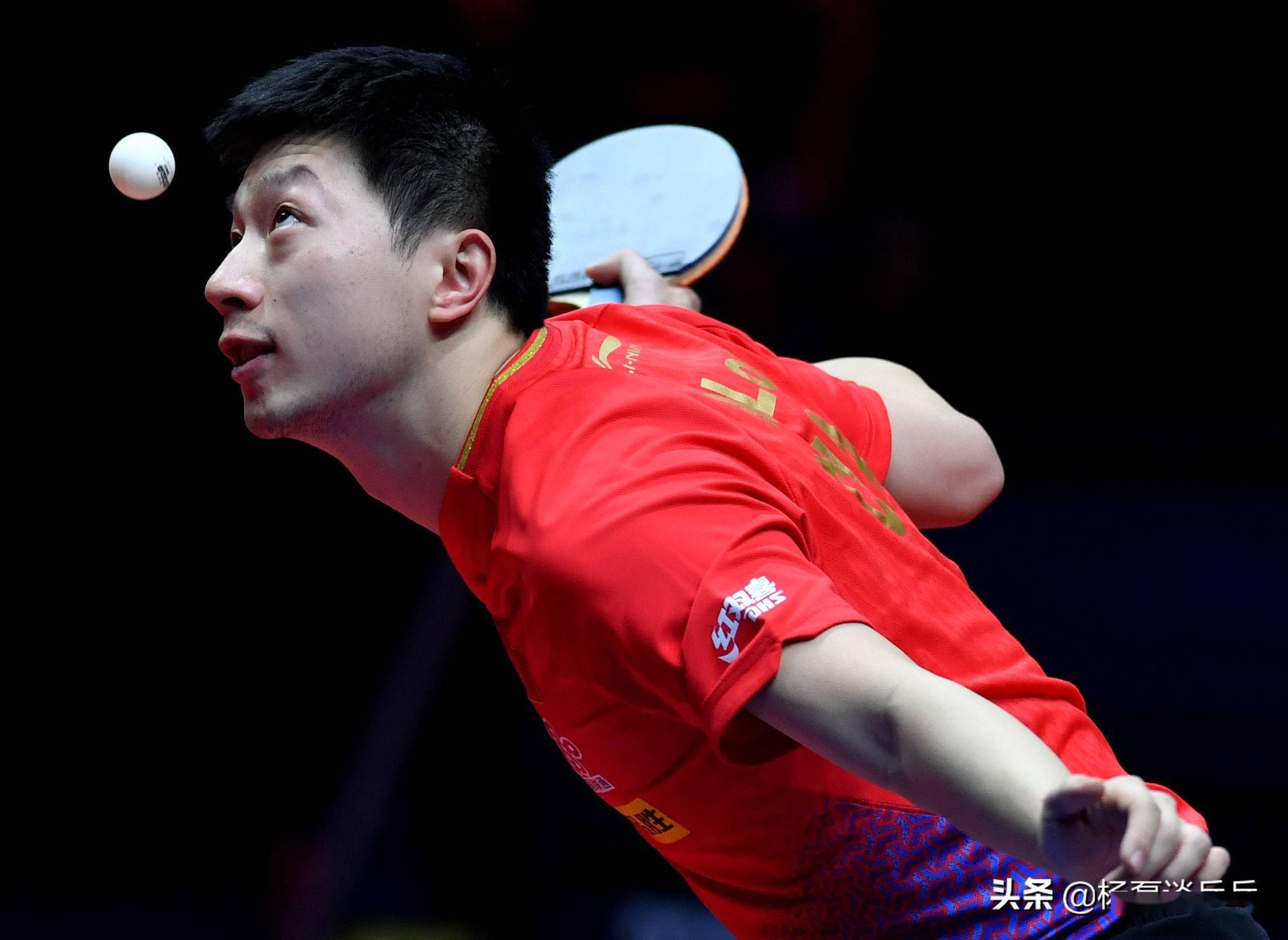 观赛者的体 观赛者的体