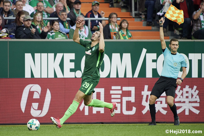 浙江队的年 浙江队的年