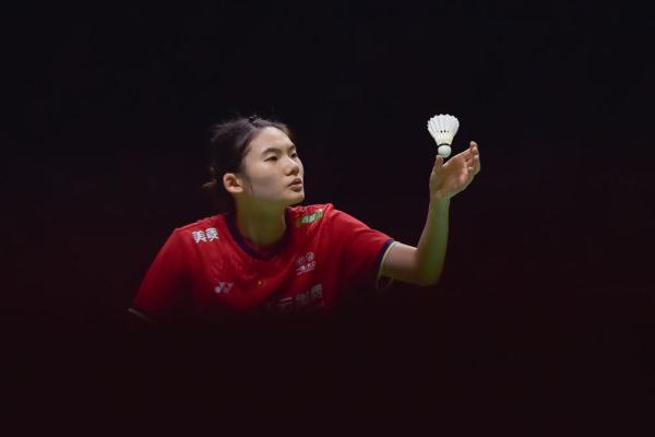 欣赏技巧与 欣赏技巧与